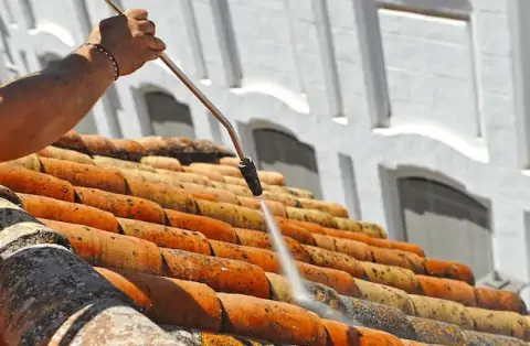 Nettoyage de toitures - Lagraulet-du-Gers